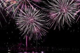 Navy Pier Fireworks| Adelines Sea Moose