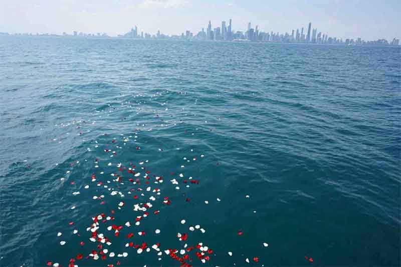 Scatter ashes in Chicago| Adelines Sea Moose