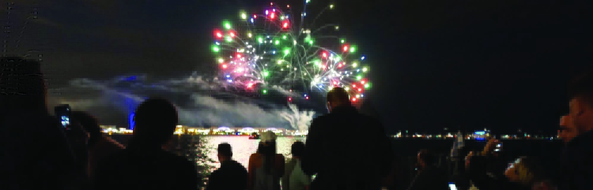 Navy Pier Fireworks pairing at Democratic National Convention| Adelines Sea Moose