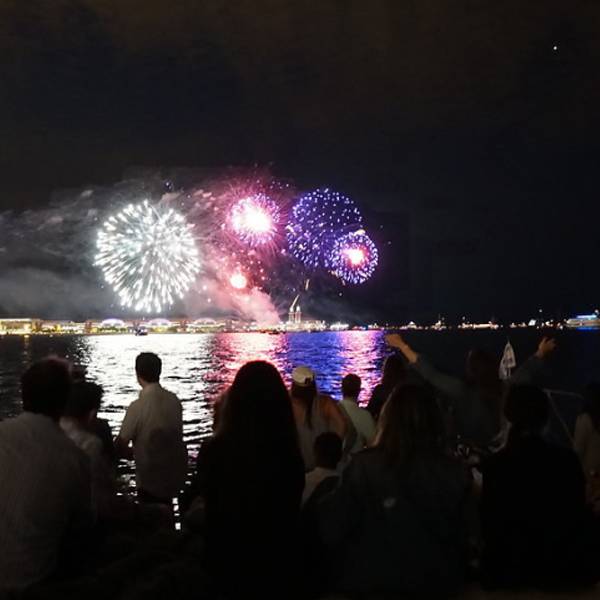 Navy Pier Fireworks Cruise