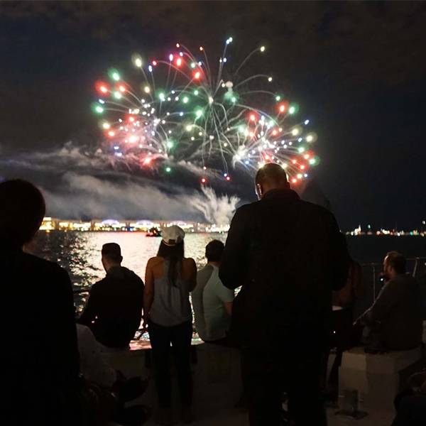 Who has the best Chicago fireworks cruise?